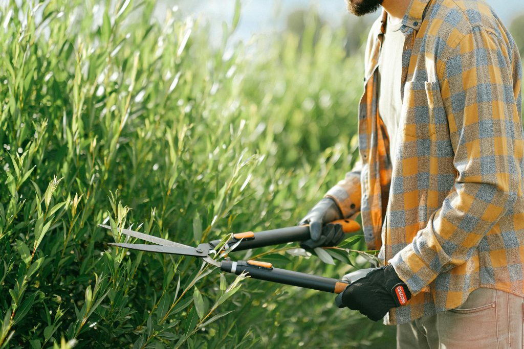 Tuin cadeau voor mannen die graag buiten bezig zijn
