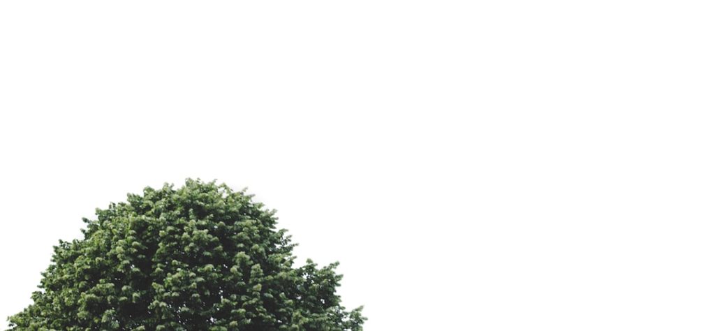 Kado inpakken: maak van je cadeau een feestje